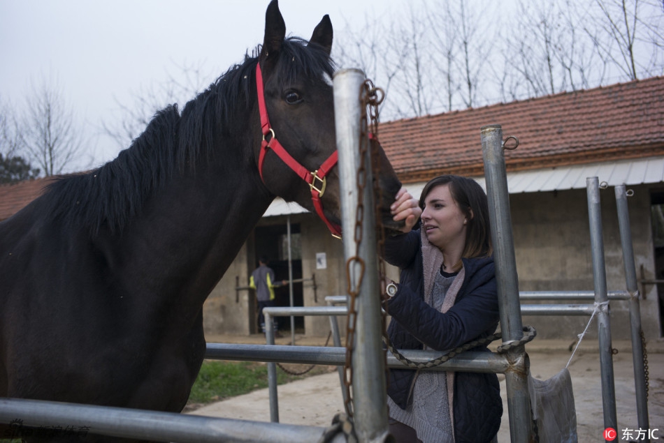 hg222体育app登录入口