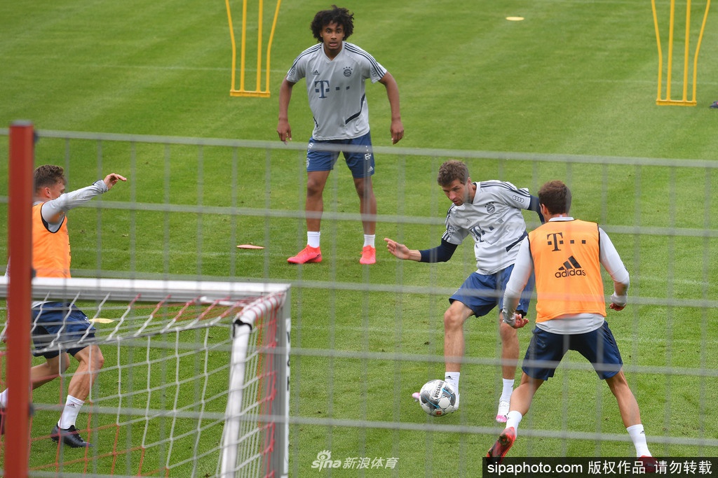 队宠”带着足球轻快地跑过训练场，脸上轻松的笑容冲淡了疫情的阴霾，提醒着我们，即便在最艰难的时刻，足球的快乐依然可以绽放。