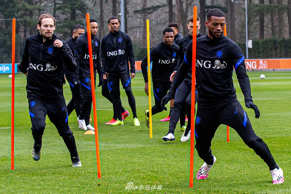 荷兰队训练场上，弗兰克·德波尔双手插兜，目光如炬地凝视着远方，仿佛已将目光投向了球场上的每一个对手