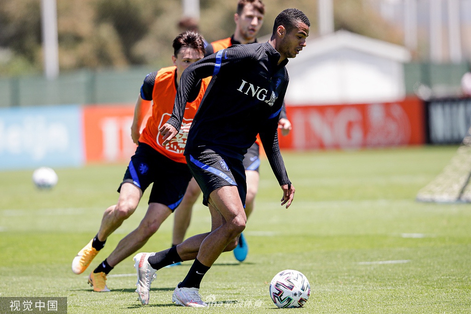 夕阳余晖洒在训练场上，荷兰队全体球员围抱在一起，高喊口号互相鼓劲。这充满凝聚力的一幕，定格了他们在欧洲杯前最团结、最充满信心的瞬间。