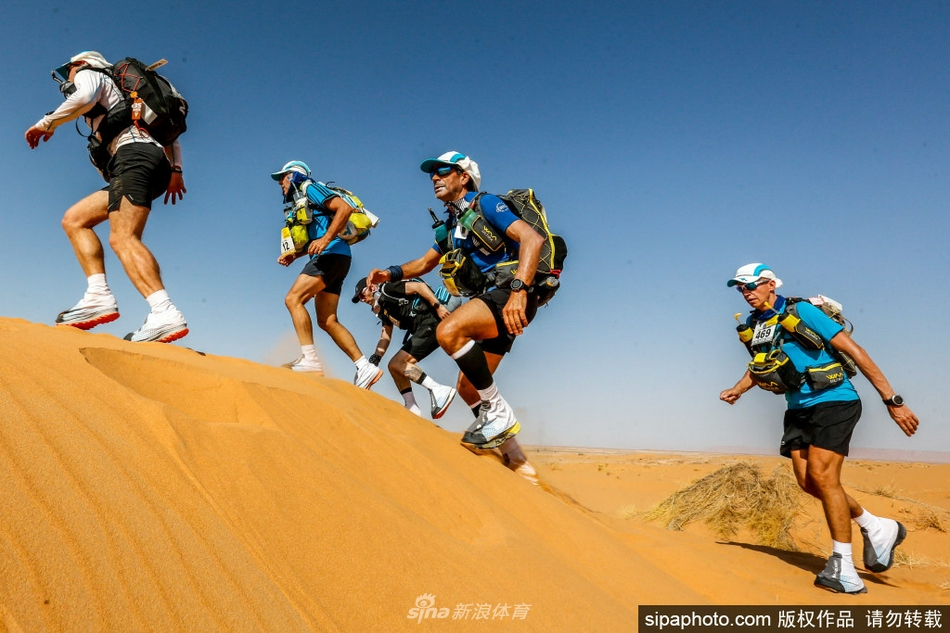 奇异果体育官网入口