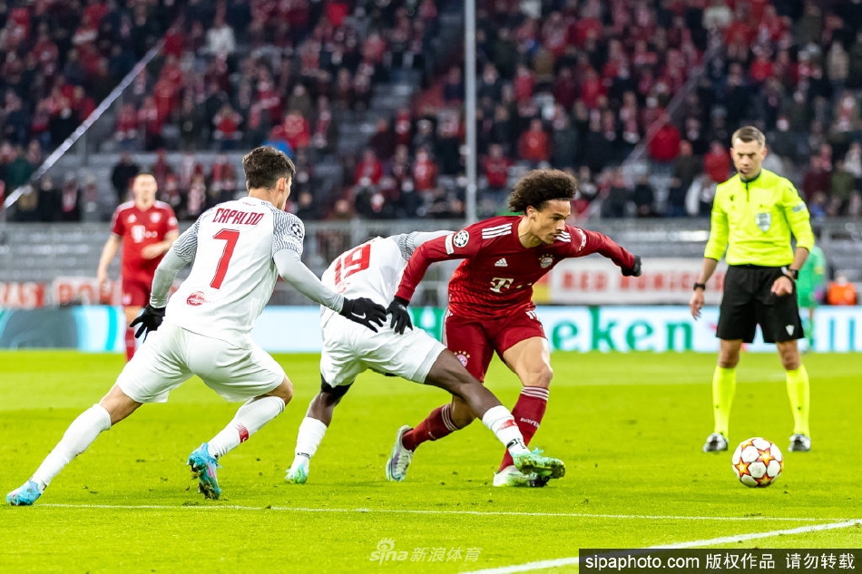 萨内与队友击掌相庆，背景是座无虚席的欧冠赛场，氛围热烈。