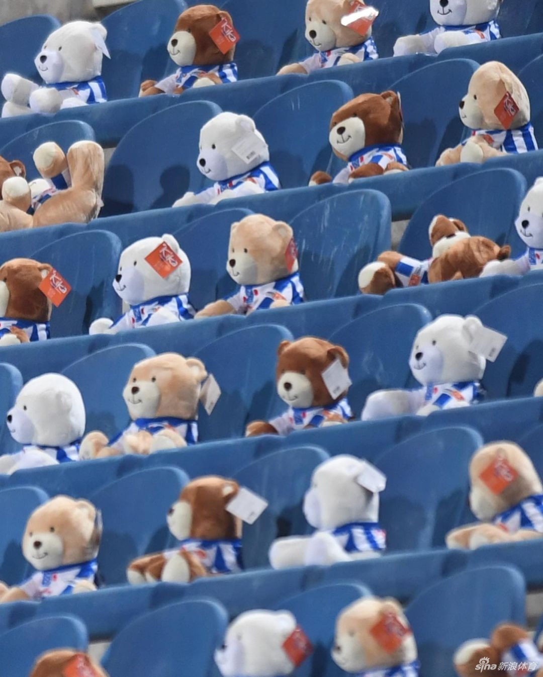 在夕阳的余晖下，整个看台的小熊都被镀上了一层金色，它们静静地坐在那里，仿佛在等待着有一天，所有患癌儿童都能像它们一样，健康、安静地享受阳光和足球。
