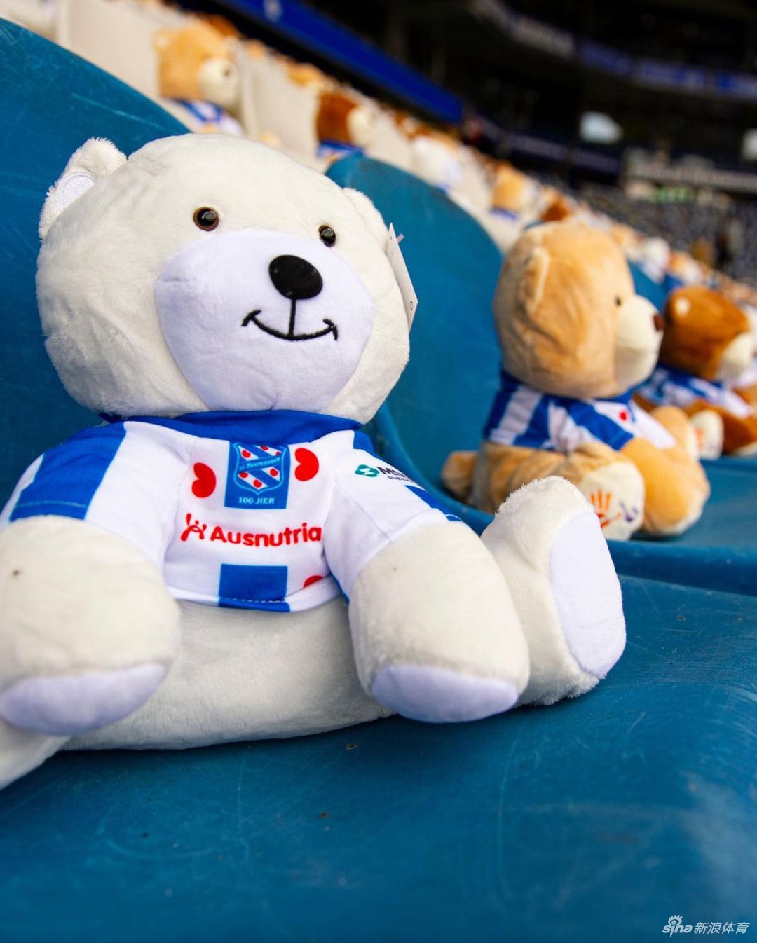 看台上密密麻麻的泰迪熊挤在一起，不同颜色的球衣和可爱的熊脸构成了一幅既壮观又温情的画面，象征着全社会汇聚起来的关爱。