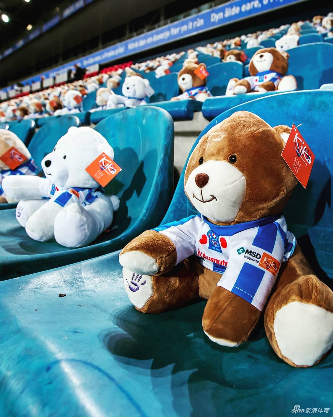 一只泰迪熊的特写，它安静地坐在座位上，歪着小脑袋，仿佛在认真观看比赛，柔软的绒毛和球衣上的队徽让人感受到一股暖心的童真力量。