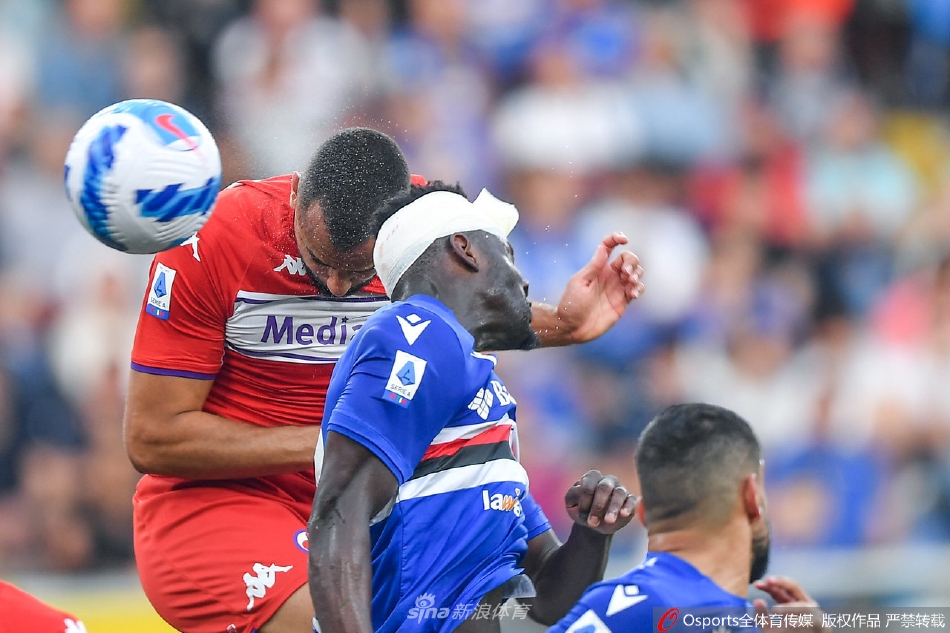 费拉里斯球场桑普多利亚球迷海洋，一片蓝白旗帜挥舞，庆祝球队进球场面热烈