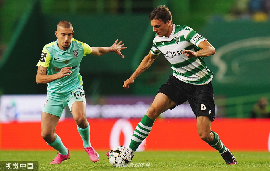 赛后全队将主帅抛向空中庆祝夺冠，球员和教练脸上洋溢着幸福与自豪