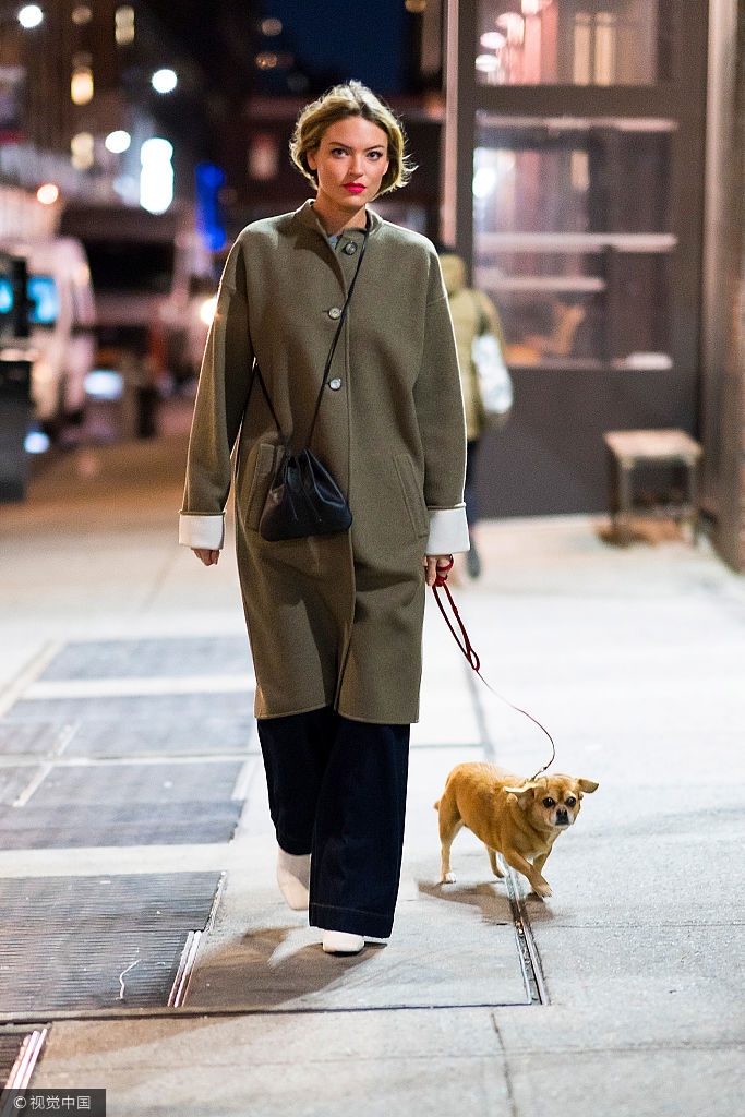 库里维密死忠外出遛狗