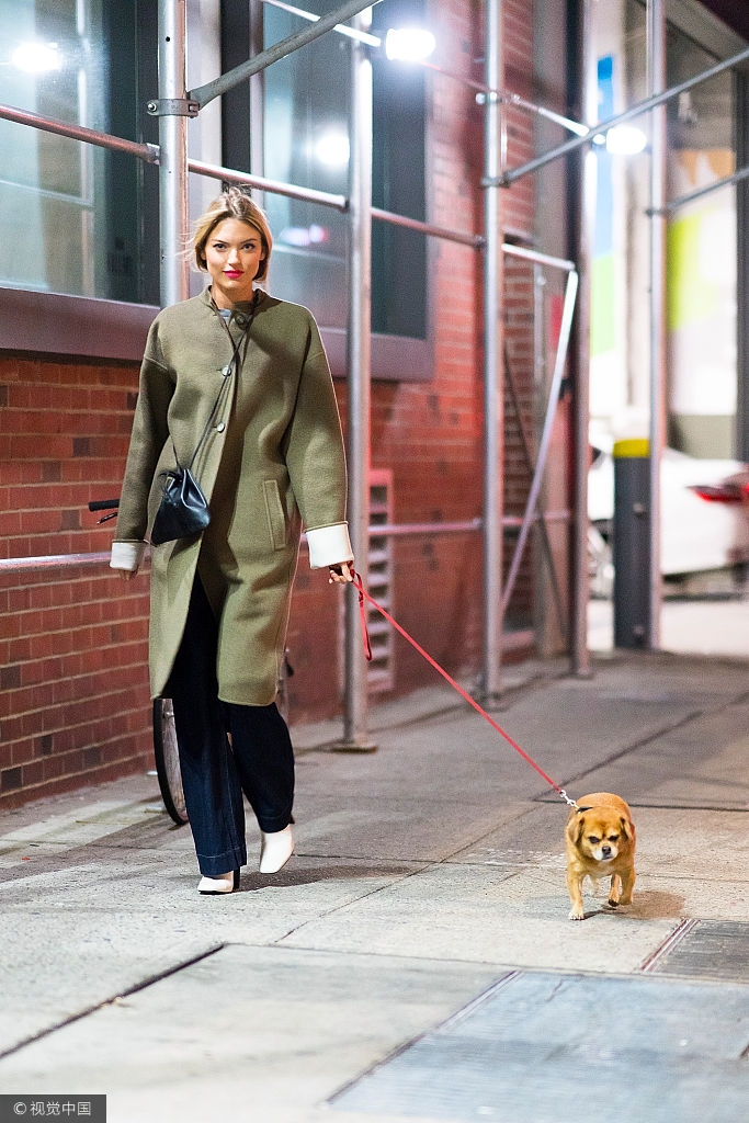 库里维密死忠外出遛狗