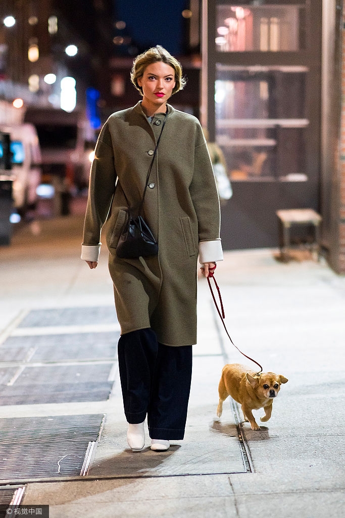 库里维密死忠外出遛狗