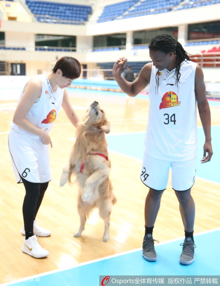 史秀峰轻抚怀中小犬的下巴,笑容灿烂如邻家姐姐,让人忘却她是在总决赛投中关键压哨球的冷血杀手。