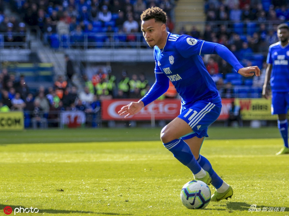 卡迪夫城的远征球迷在看台上打出支持球队的横幅，眼神中透露出失望与无奈，但仍为走下场的球员送上掌声。