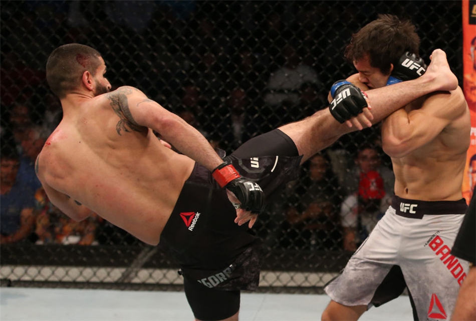 闻鼎app官网下载安装