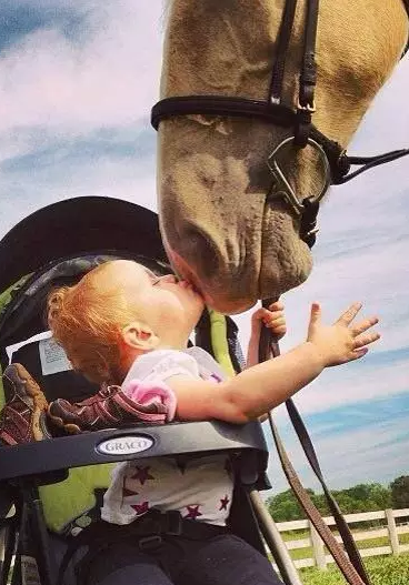 yobo亚搏官网入口