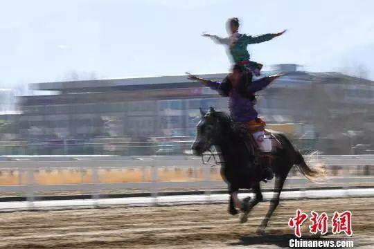 图为马术队队员在表演马上叠罗汉。 何蓬磊 摄