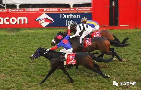 世界各地著名的赛马赛事