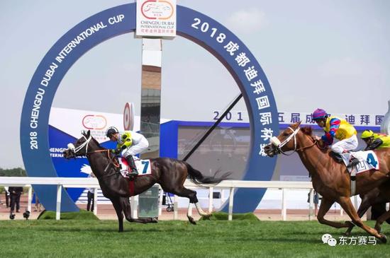 ▲图/Meydan Racing,「托巴科」