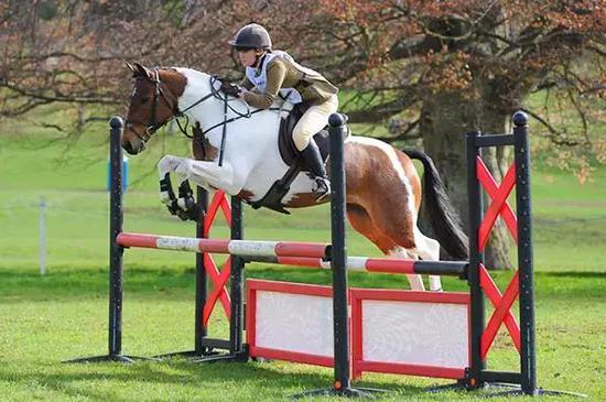 图片来源于网络