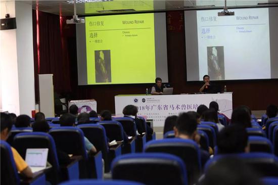 演讲嘉宾 香港马会的兽医 Dr. Adrian Farrington