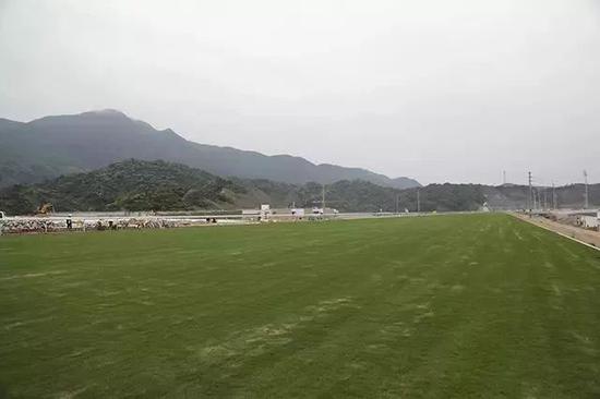 草地跑道:百慕大419暖季草,根系发达,抗践踏性强