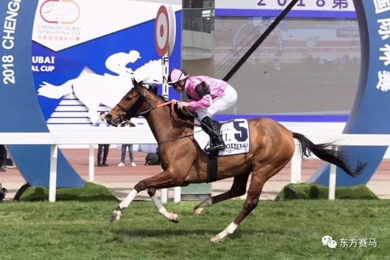 ▲图/Meydan Racing,「月光急驰」