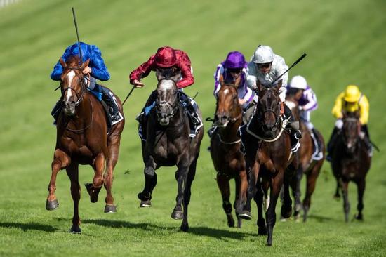 赛马简报丨香港赛马季雨中收官投注额破千亿,西方媒体批蒙古儿童赛马是剥削童工