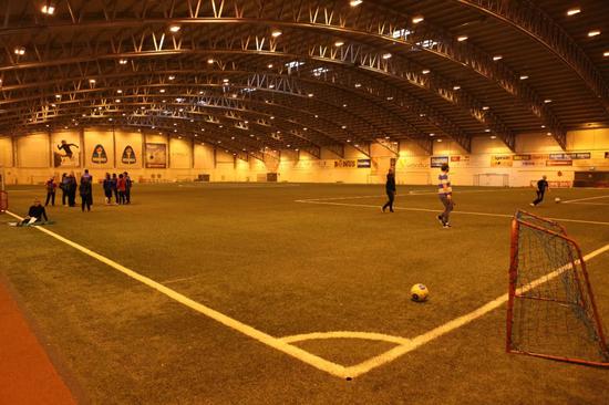 中国足球如何学冰岛?免费球场 青训配最好教练