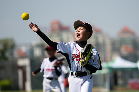 专业球员仅有720人!中国棒球还剩多少人在打?