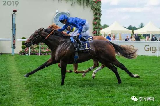 ▲图/Ascot Racecourse，‘蔚蓝海角’