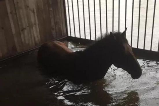暴风雨过后