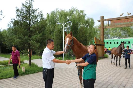 内蒙古高奖金马术邀请赛23日举办 伊泰大漠为高校无偿捐赠3匹纯血马