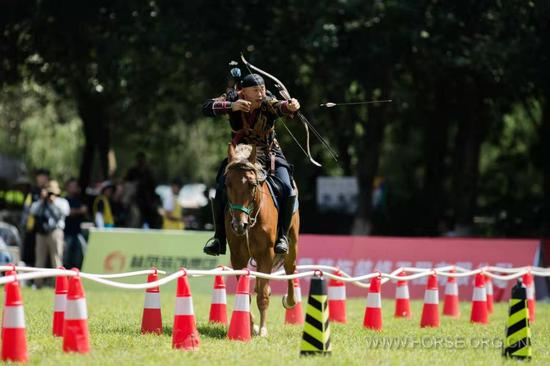沈阳城区人口630万_沈阳城区划分图(2)