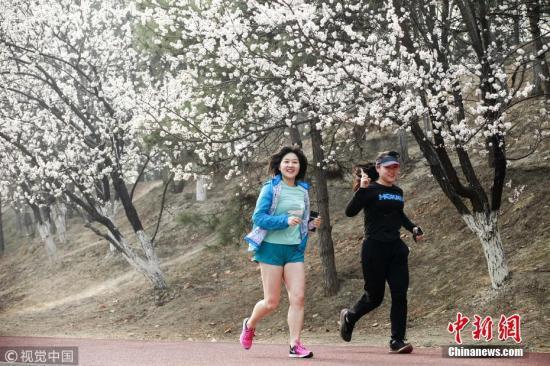 北京民众在奥森公园跑步健身。