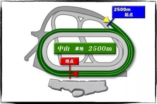 日本中山马场跑道示意图