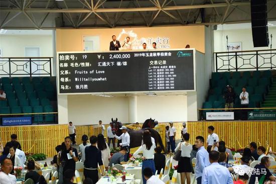 中国山西玉龙马匹拍卖中心