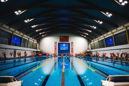 中国游泳队公开训练课