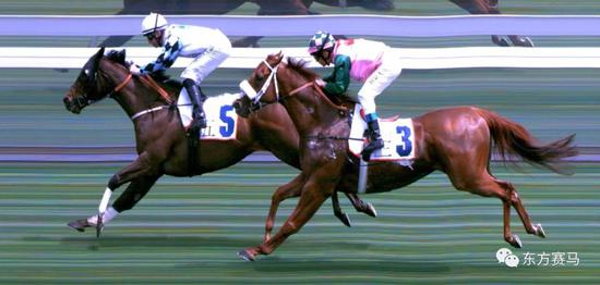 ▲图/Meydan Racing,「艾吉巴尔」(左),「丹齐勒•莱恩」(右)
