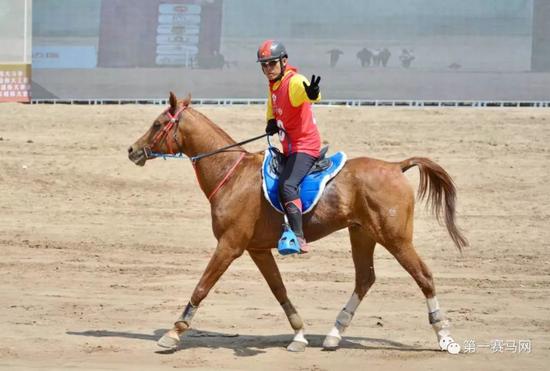 四位中国骑手将出征2018FEI世界马术运动会,为