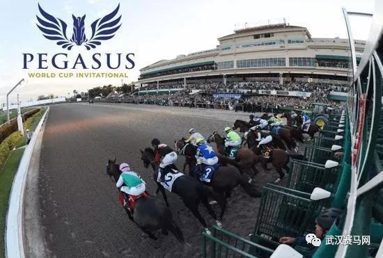 世界各地著名的赛马赛事