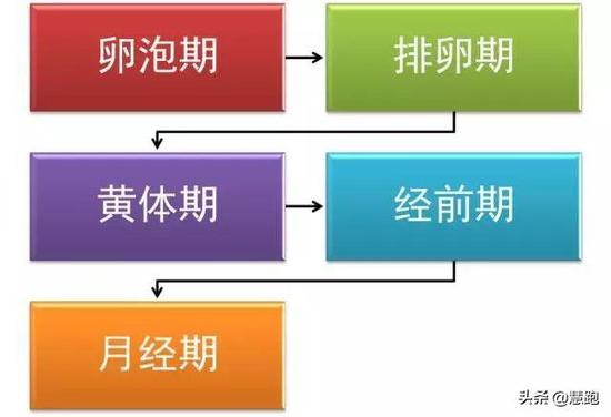 二、经期运动会有损健康吗?