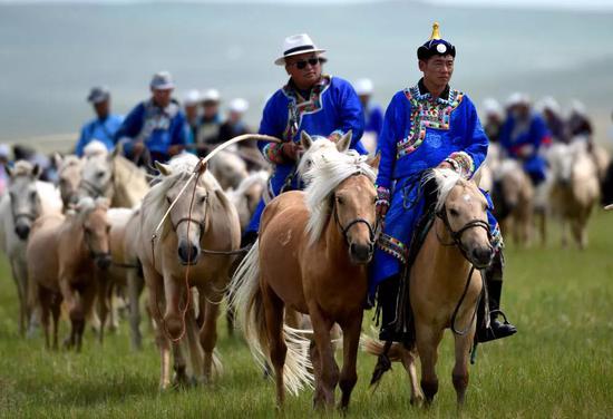 内蒙古马文化，正在以多姿多彩的全新形式回归草原