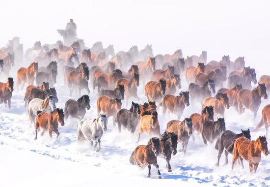 雪中骏马