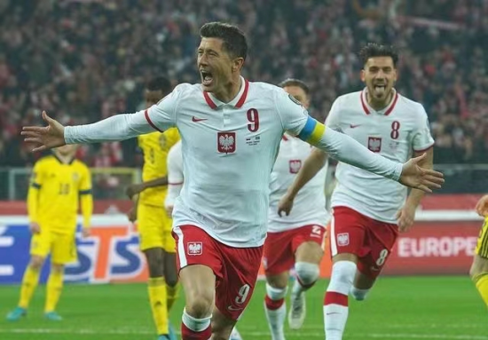 世界杯预选赛欧洲区附加赛在哪看 64da-02d2cbafce75c459fb566bec8d56a8d2.png