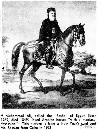 上的穆罕默德·阿里王朝(1805-1953),在他治下,埃及进行了一系列改革