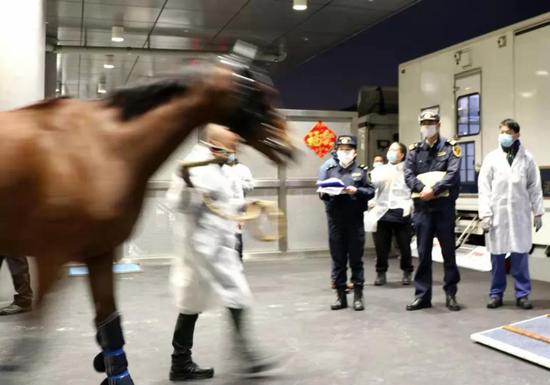 灰色项目-挂机方案香港马会出狠招：马照跑，疫严防！挂机论坛(7)