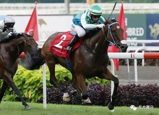 ▲图/Singapore Turf Club,「步兵团」