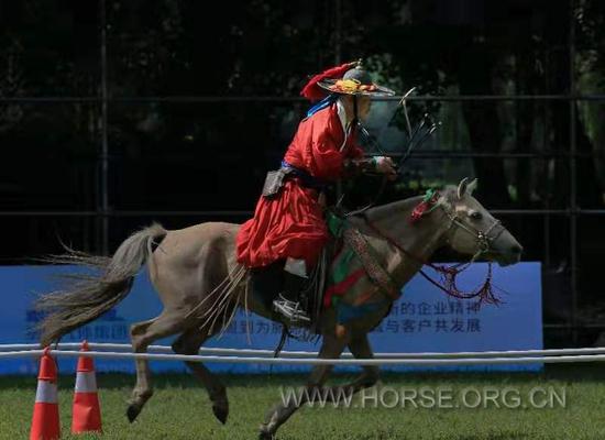 沈阳城区人口630万_沈阳城区划分图(2)