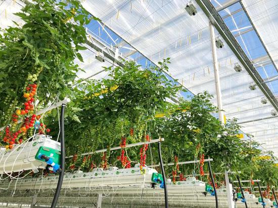 北京城建六赞助最美赛事 推动中国体育事业发展