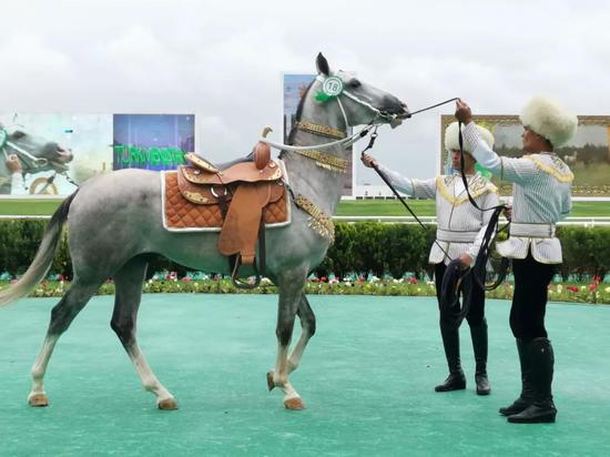 第十一届土库曼斯坦世界赛马及马艺术国际学术会议与国际马展4月举办