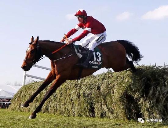 ▲图/Aintree Racecourse，「虎皮卷*」